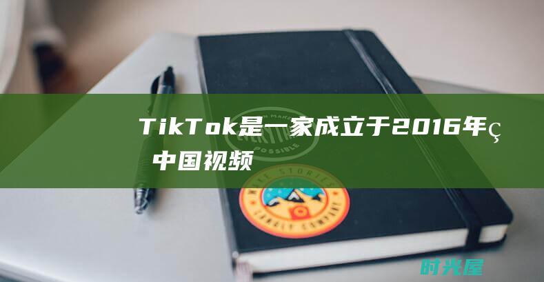 TikTok是一家成立于2016年的中国视频共享平台。该品牌是2021欧洲杯的官方娱乐赞助商。TikTok为欧洲杯提供了独家内容，并在社交媒体上宣传赛事。