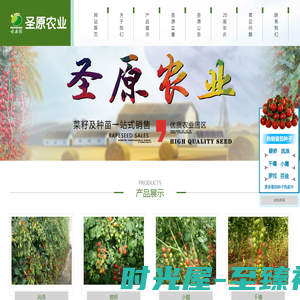 辽宁圣原农业有限公司-优质番茄苗|西红柿苗|蔬菜种苗|蔬菜种子销售基地