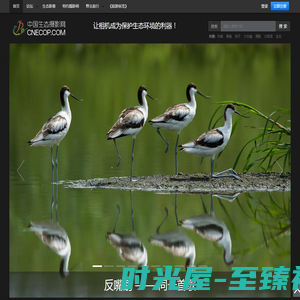 中国生态摄影网-让相机成为保护生态环境的利器！ -  Powered by suoqiu.net