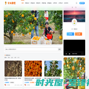 安远脐橙网-江西赣南脐橙批发、零售、代理综合信息平台