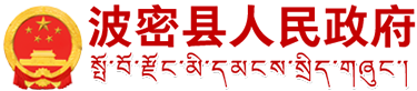 波密县人民政府网